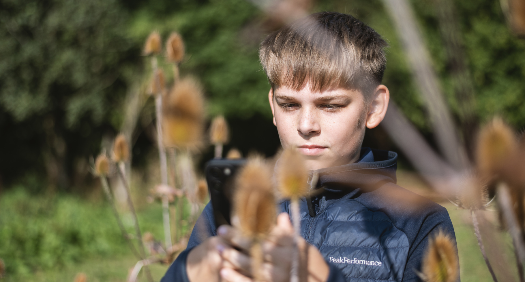 Elev tager billede af tidsel med telefon ude i naturen. 